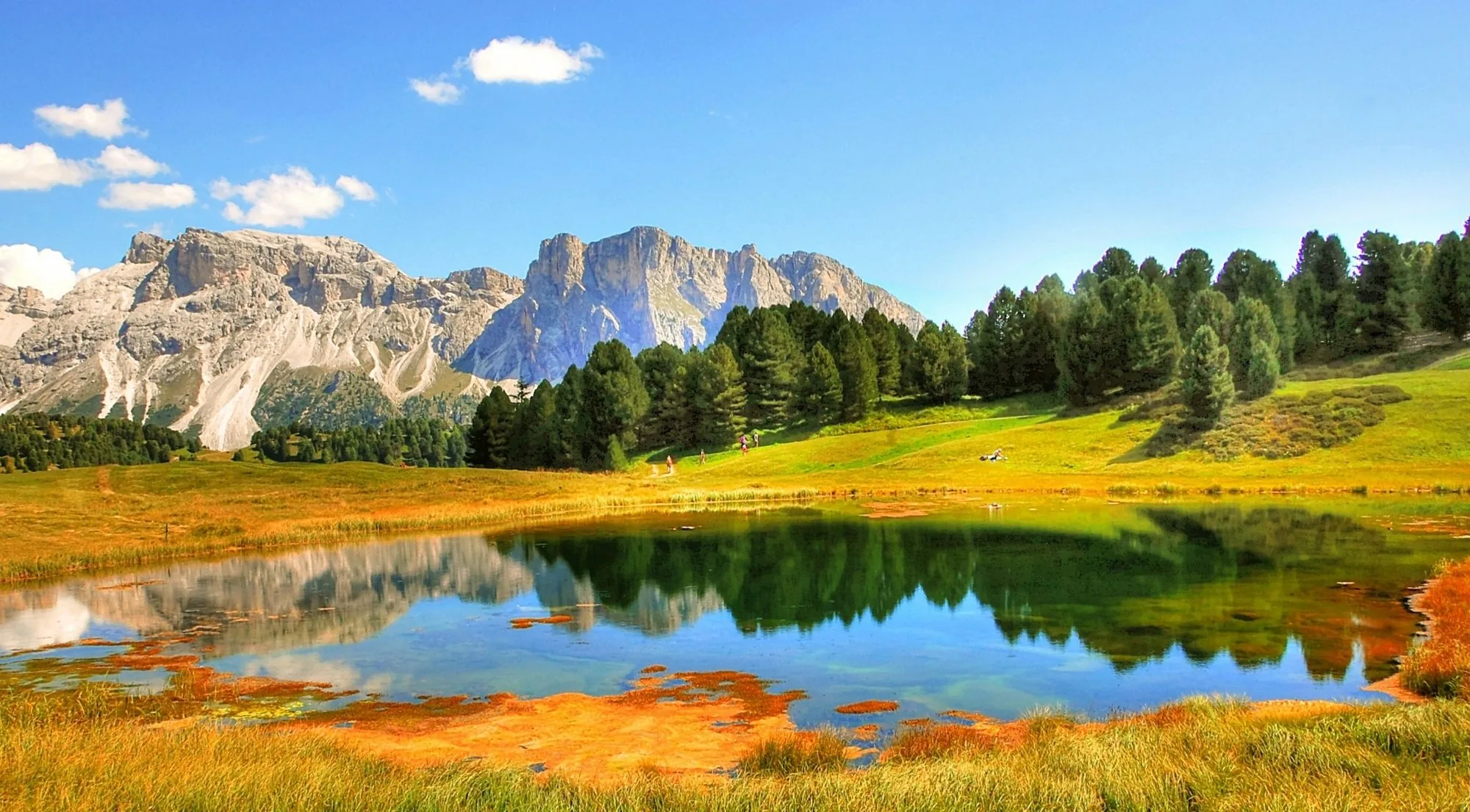 Still alpine tarn fringed with autumn reeds reflecting Dolomite peaks and conifers