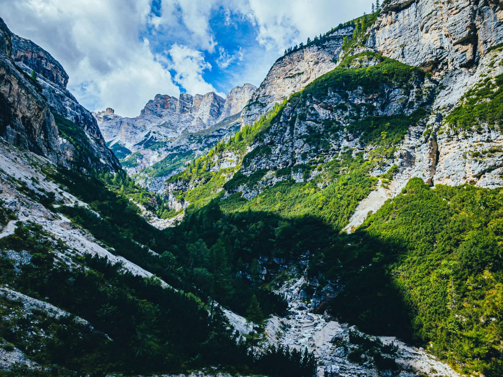 Steep limestone walls and green forest enclosing a narrow Dolomites valley