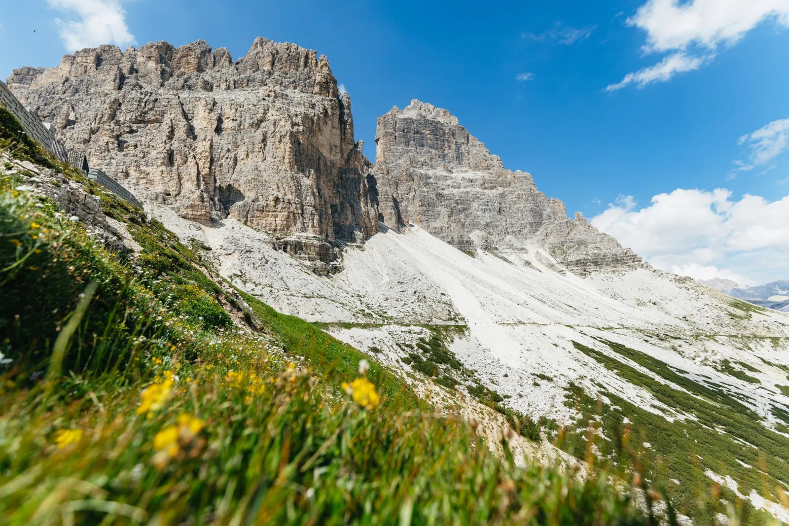 Wildflowers in the foreground below the pale limestone cliffs and scree of the Dolomites