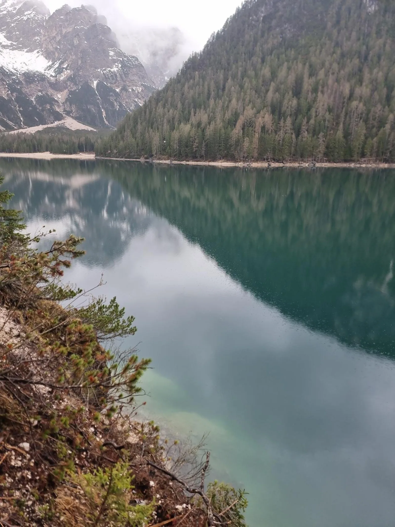 Still, misty morning at Lake Braies with the forested slope mirrored in the water